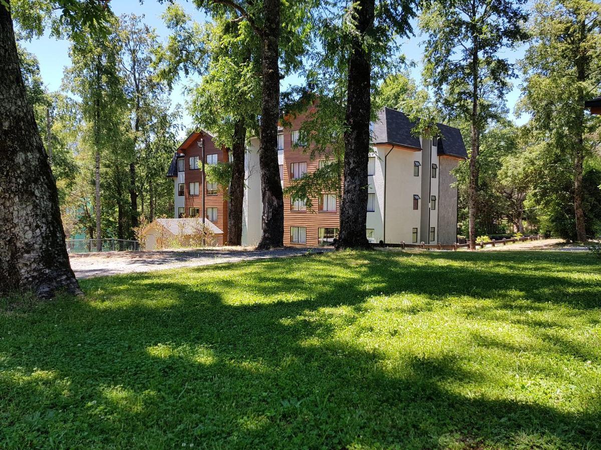 Appartement Depto Parque Suizo 800 à Pucón Extérieur photo