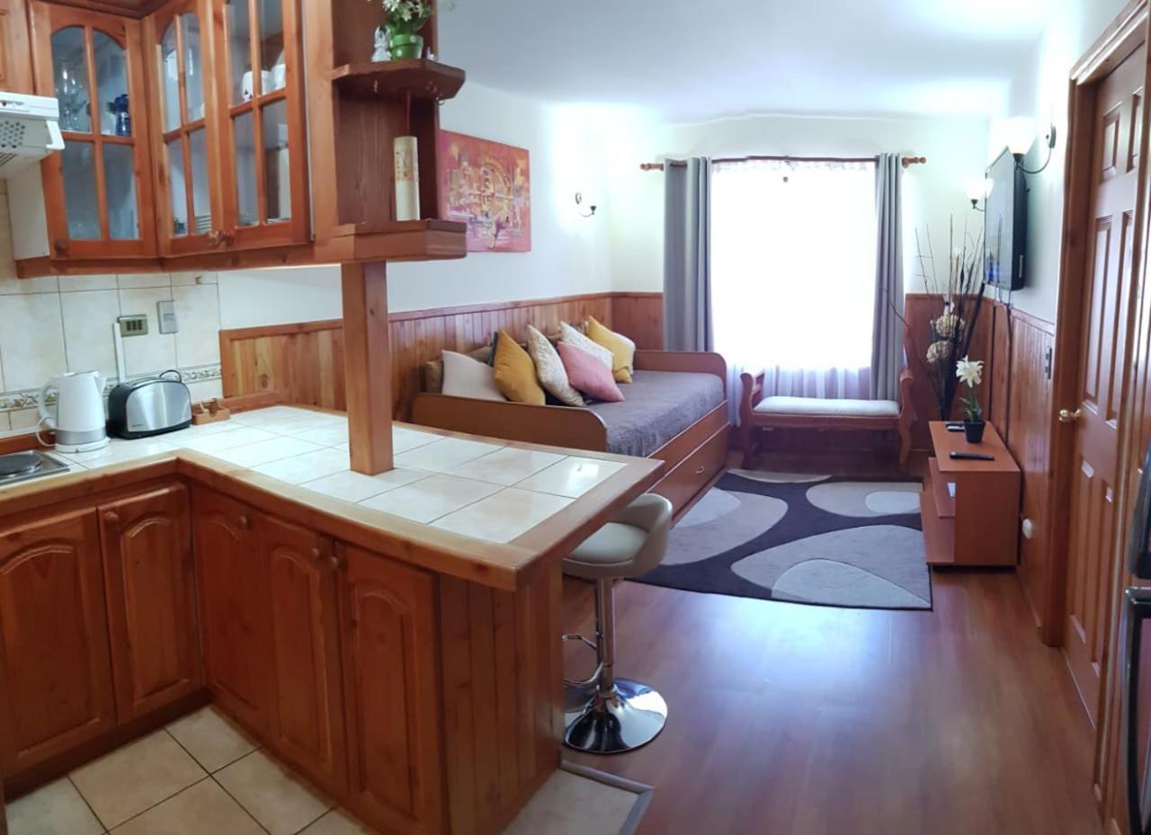 Appartement Depto Parque Suizo 800 à Pucón Extérieur photo